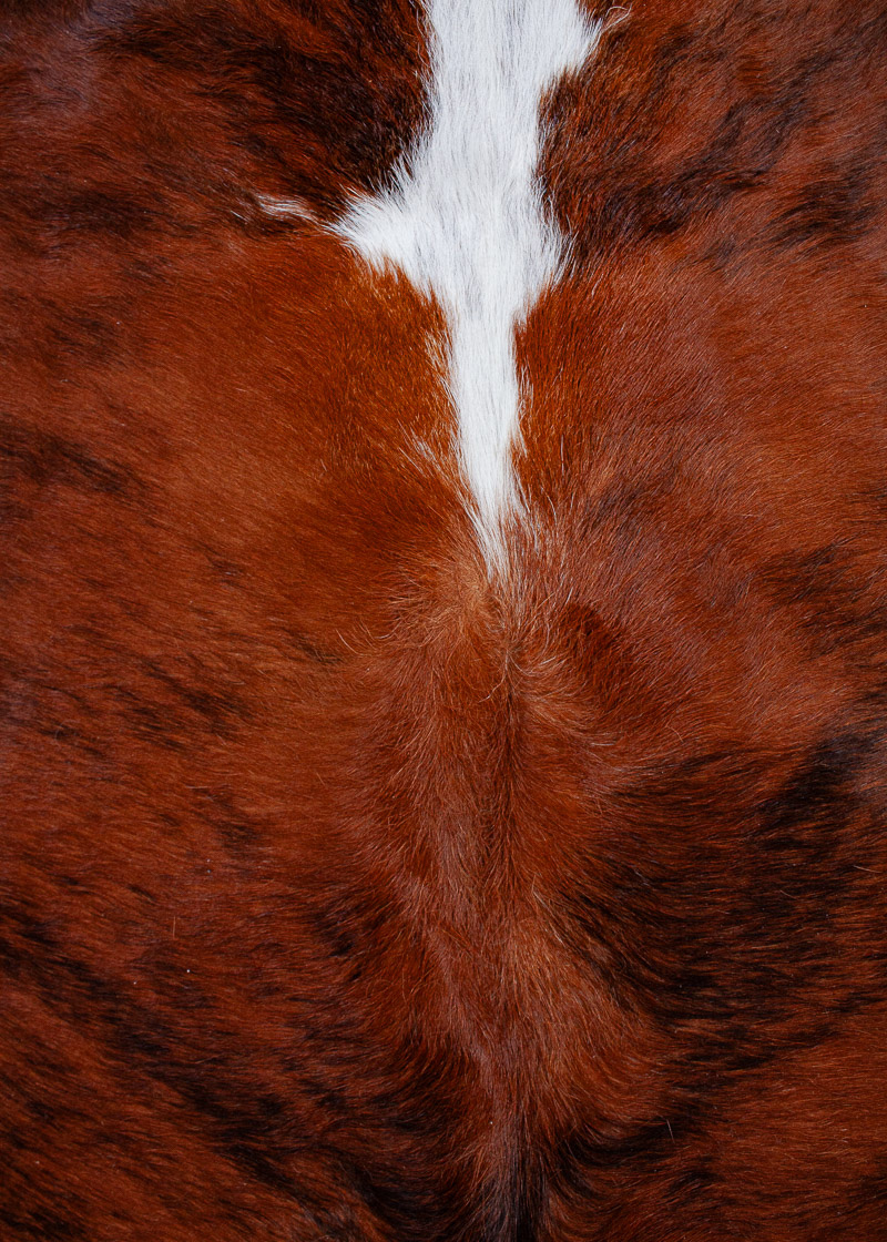 Kuhfell tricolor "Unikat"24-5-07 – Bild 3