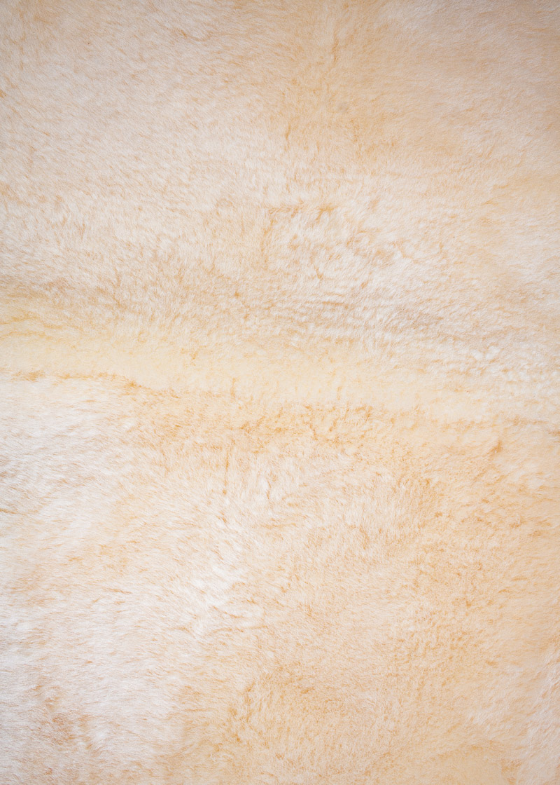 medizinisches Lamm-Doppelfell geschoren, honig – Bild 3