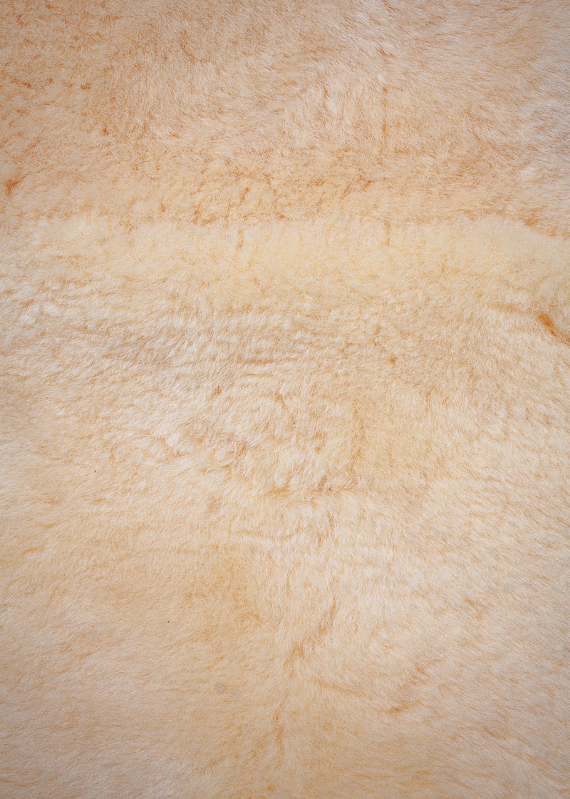 medizinisches Lamm-Doppelfell geschoren, honig – Bild 4