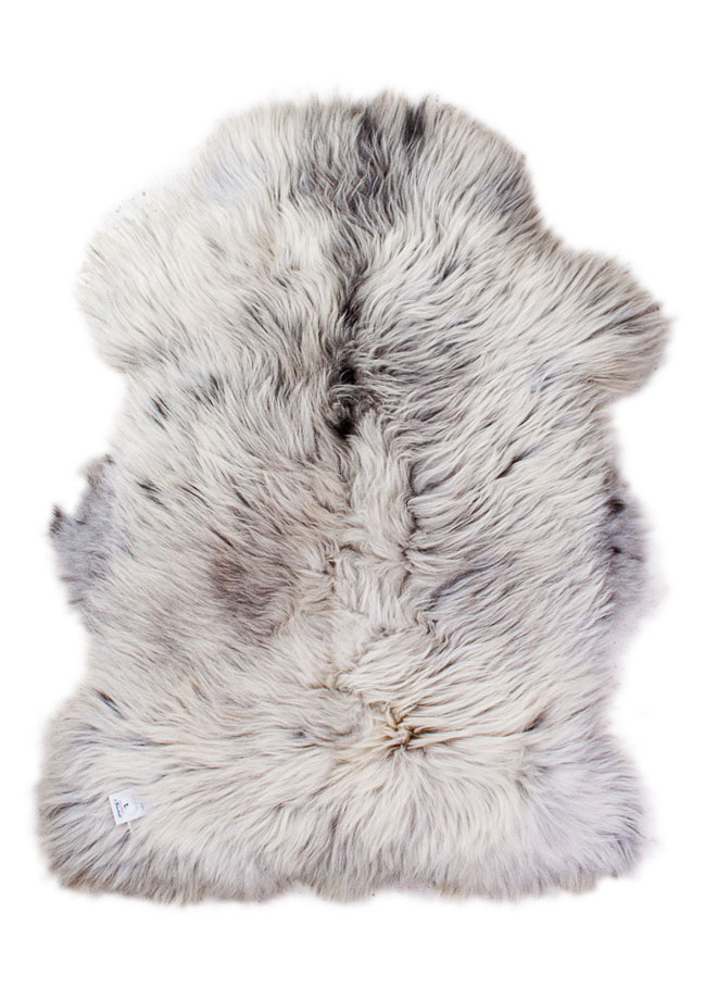 Echte Heidschnucke"Unikat" 2025-8-01