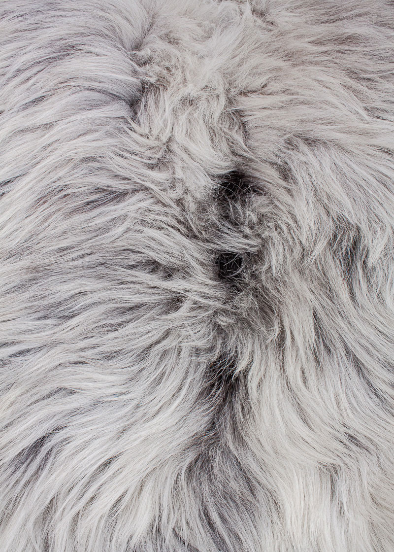 Echte Heidschnucke"Unikat" 2025-8-01 – Bild 4