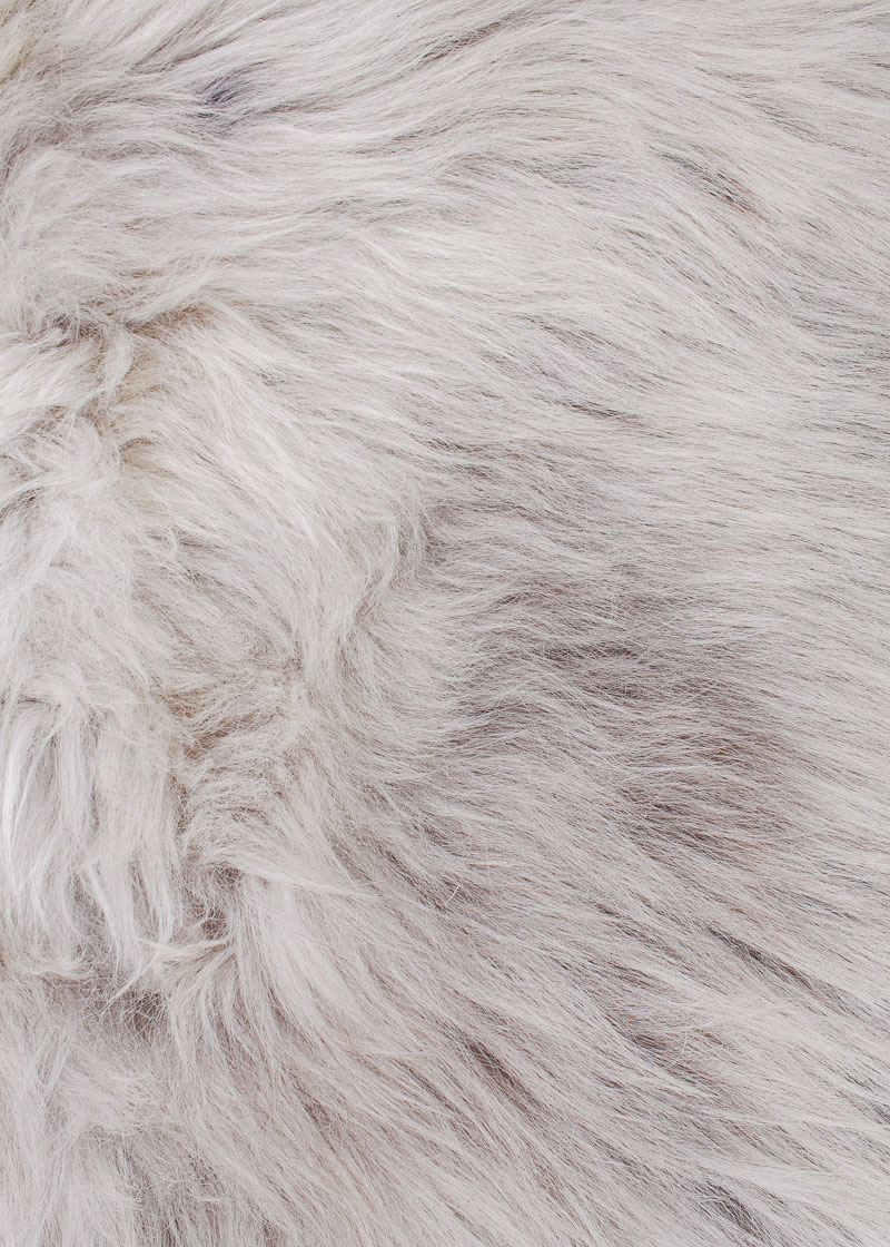 Echte Heidschnucke"Unikat" 2025-8-01 – Bild 3