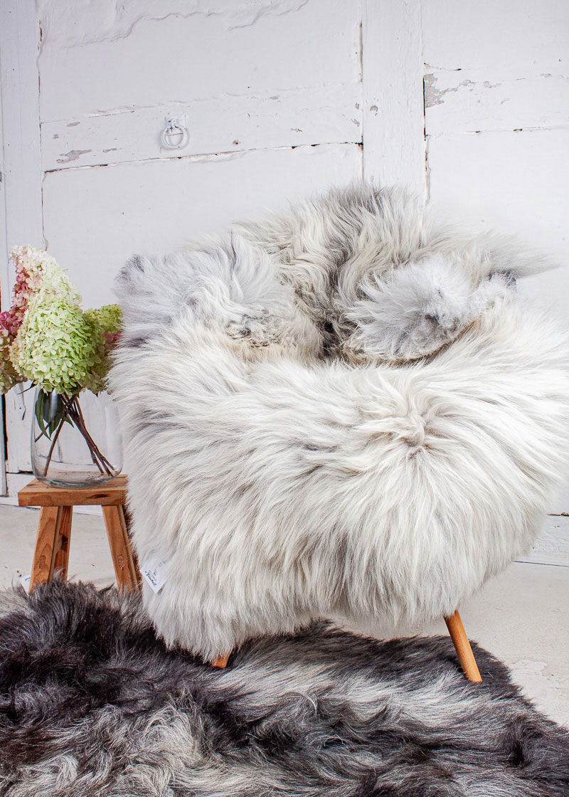 Echte Heidschnucke"Unikat" 2025-8-01 – Bild 2