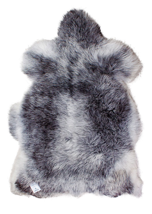 Echte Heidschnucke"Unikat" 2025-8-03