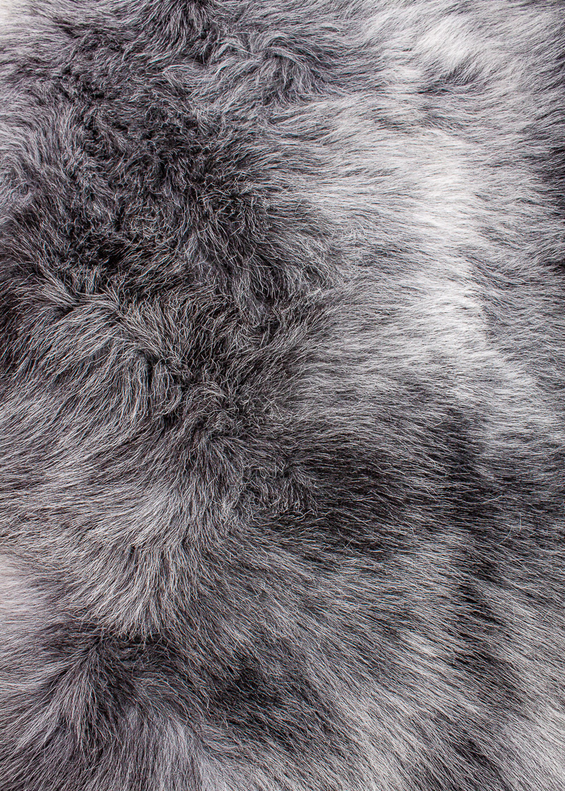 Echte Heidschnucke"Unikat" 2025-8-03 – Bild 4