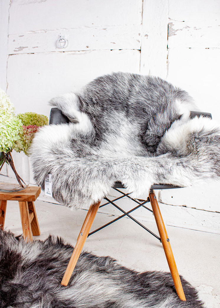 Echte Heidschnucke"Unikat" 2025-8-03 – Bild 2