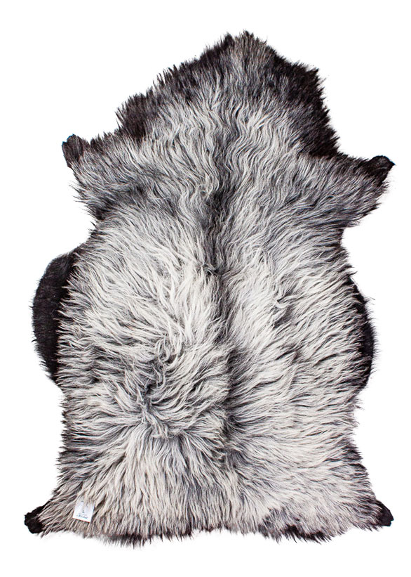 Echte Heidschnucke"Unikat" 2025-8-10