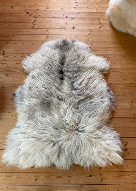 Echte Heidschnucke"Unikat" 2025-8-01 – Bild 5