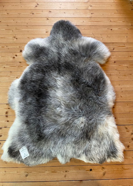 Echte Heidschnucke"Unikat" 2025-8-03 – Bild 3