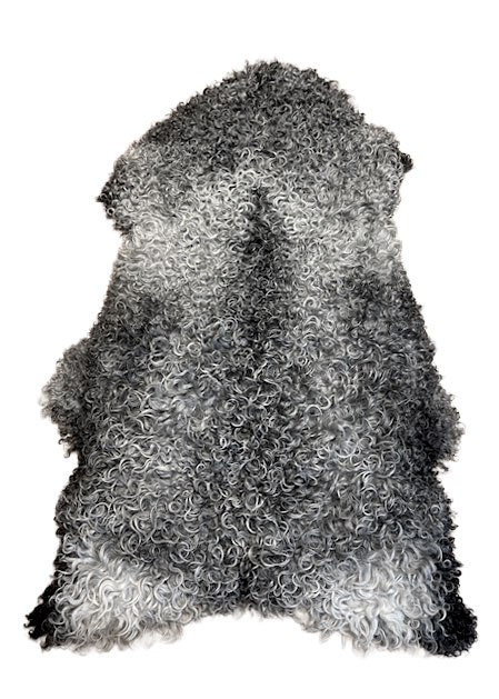 Gotland Schnucke "Unikat" 2025-11-02