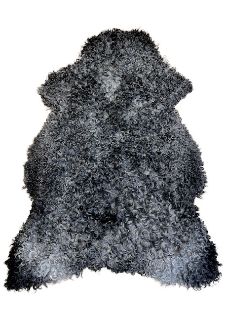 Gotland Schnucke "Unikat" 2025-11-04