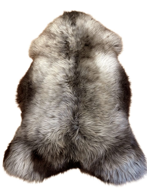 Deutsches Wollschaf "Unikat" 2025-11-14