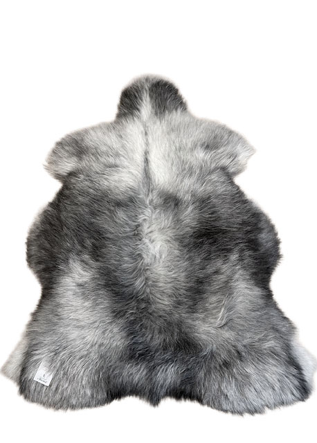 Echte Heidschnucke"Unikat"2025-261010