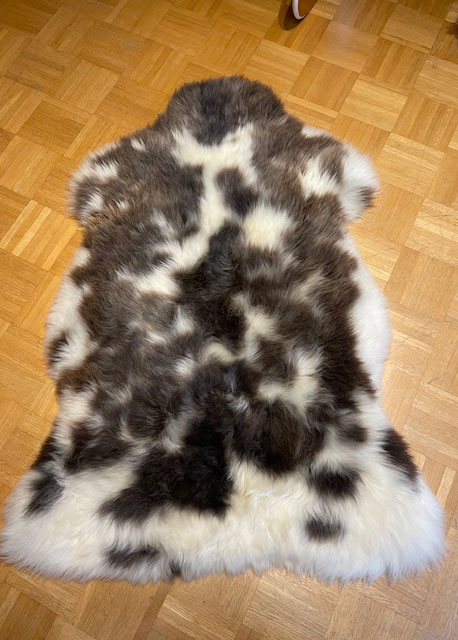 Deutsches Wollschaf "Unikat" 2025-261005 – Bild 3