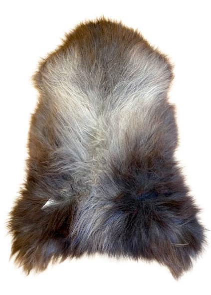 Echte Heidschnucke"Unikat"2025-11-07