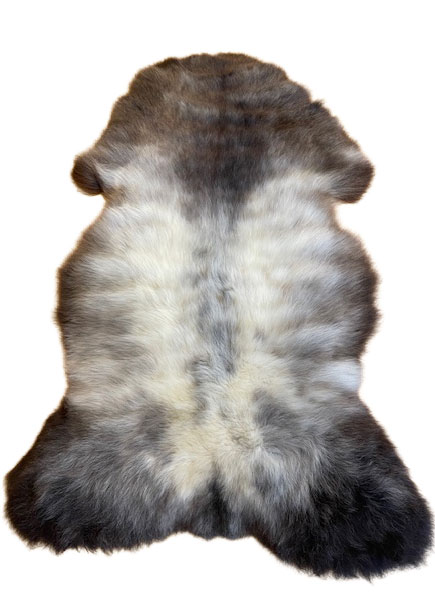 Deutsches Wollschaf "Unikat" 2025-261006