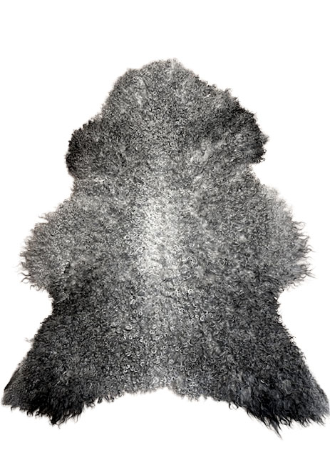 Gotland Schnucke "Unikat" 2025-11-03