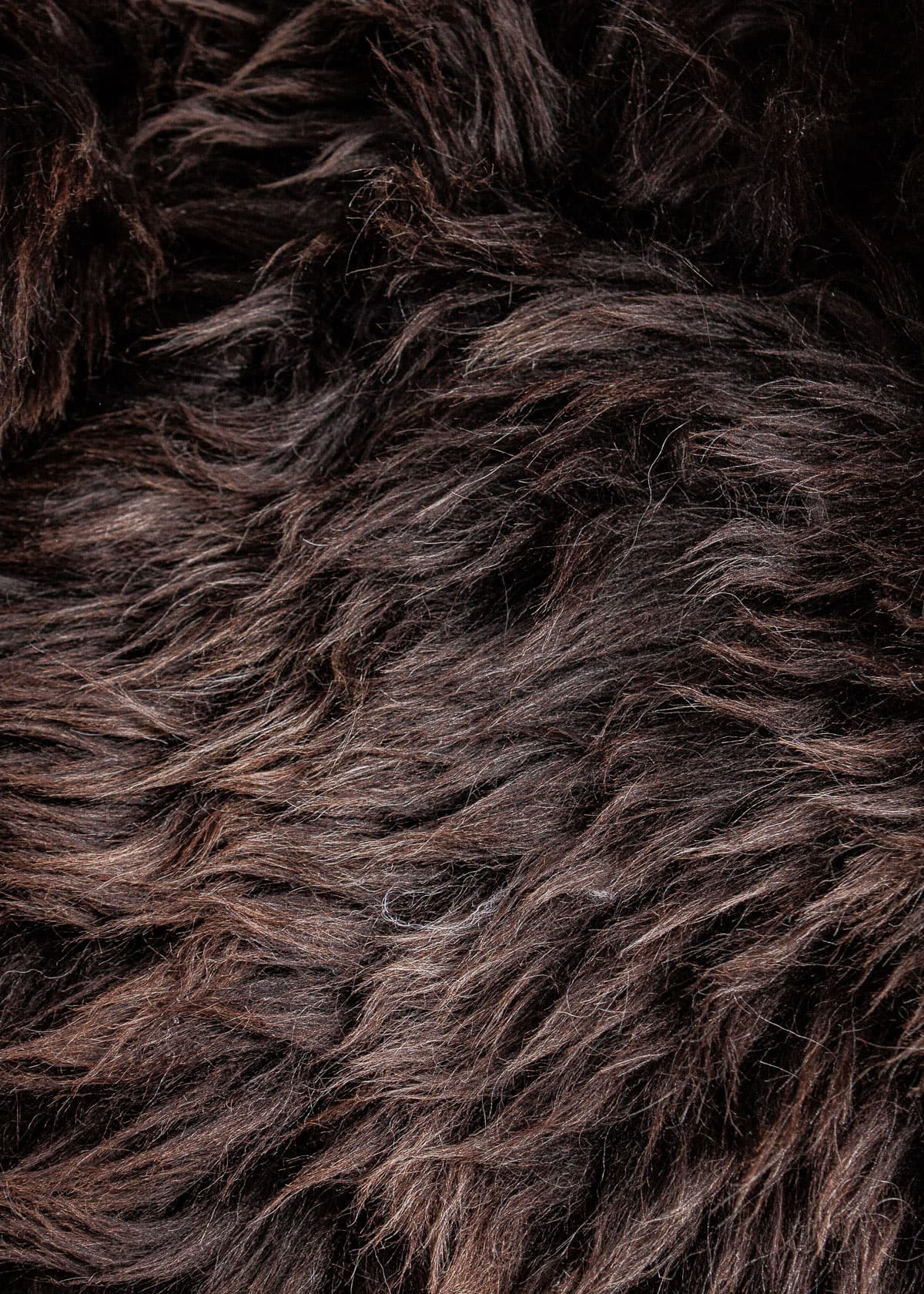 Deutsches Wollschaf "Unikat" 2025-11-05 – Bild 3