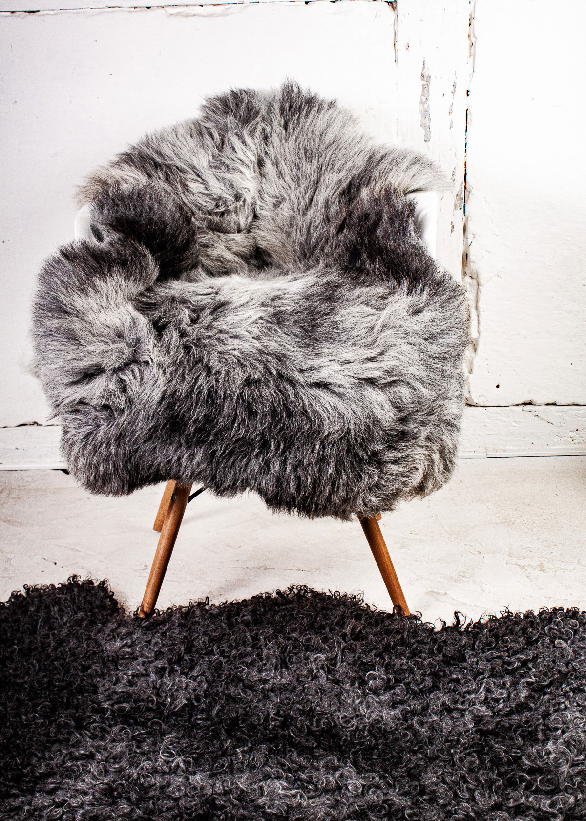 Echte Heidschnucke"Unikat"2025-261010 – Bild 2