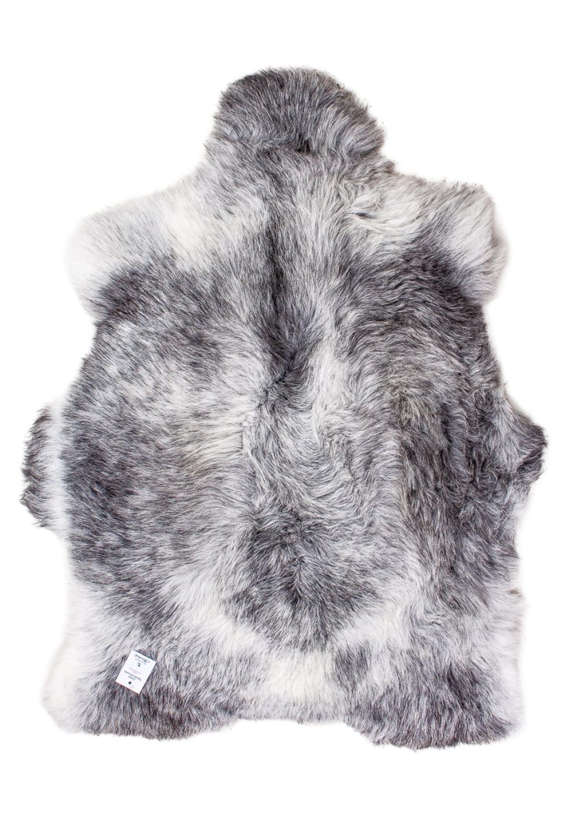 Echte Heidschnucke"Unikat"2025-11-2601