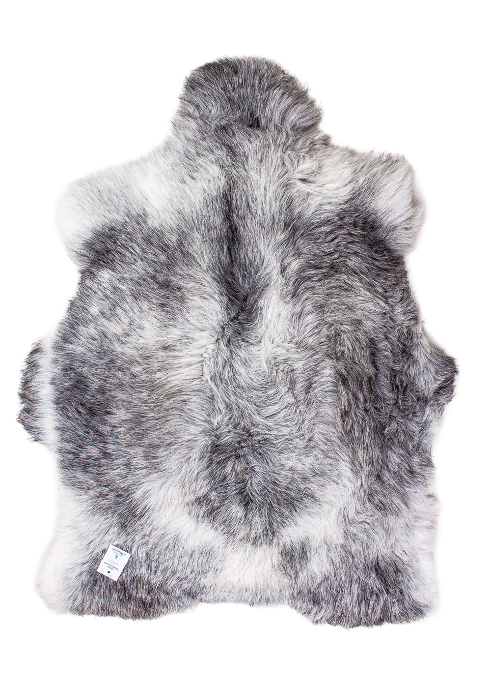 Echte Heidschnucke"Unikat"2025-11-2601