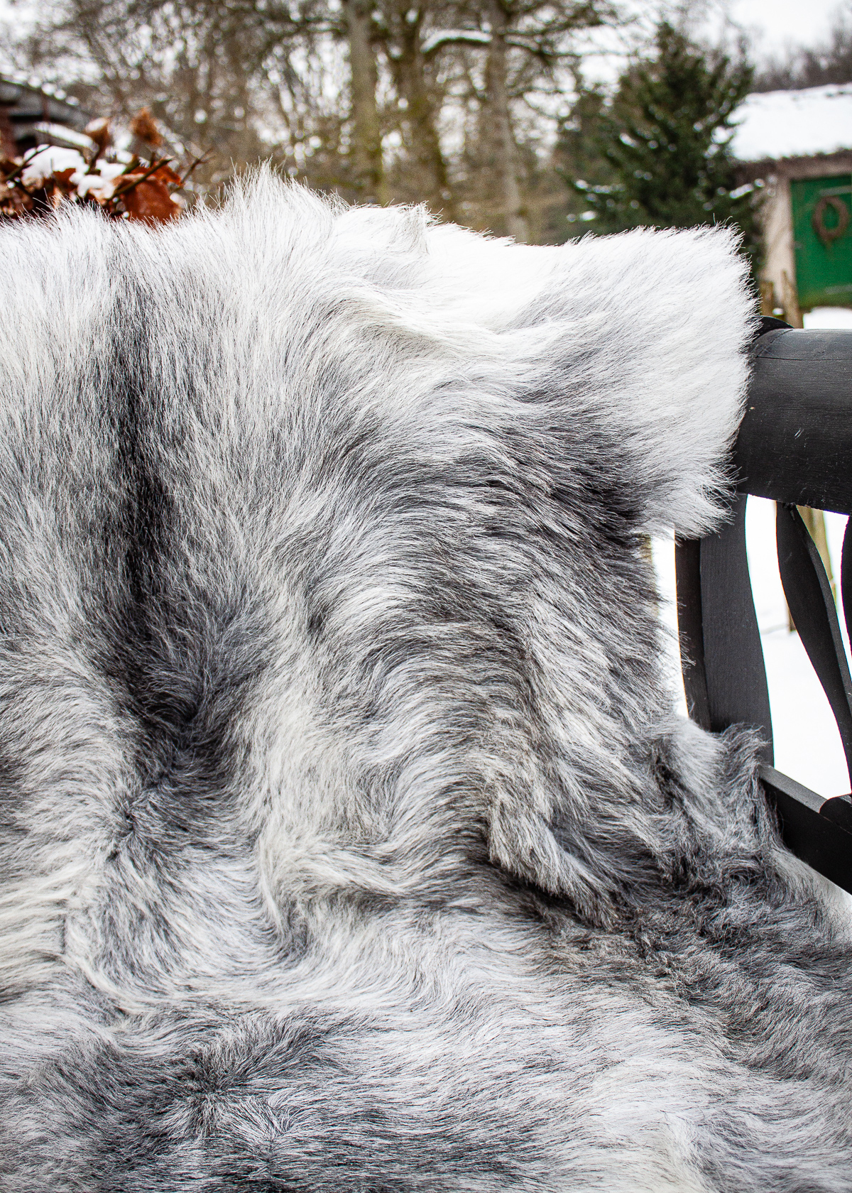 Echte Heidschnucke"Unikat"2025-11-2601 – Bild 3