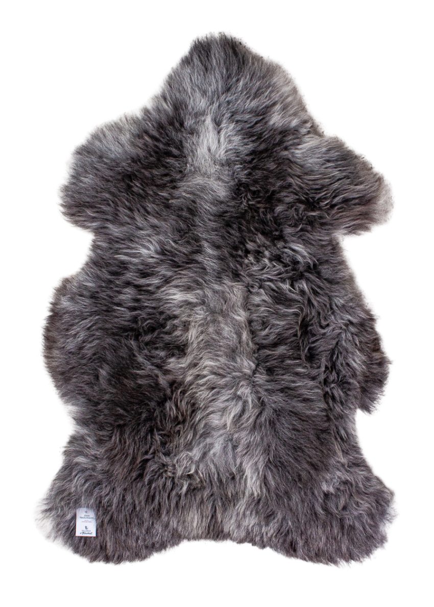 Echte Heidschnucke"Unikat"2025-11-2602