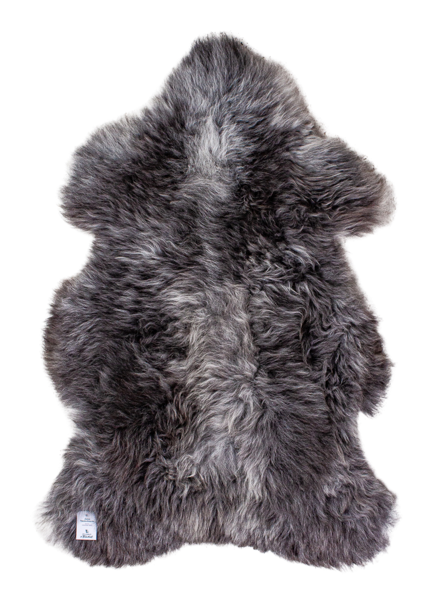 Echte Heidschnucke"Unikat"2025-11-2602