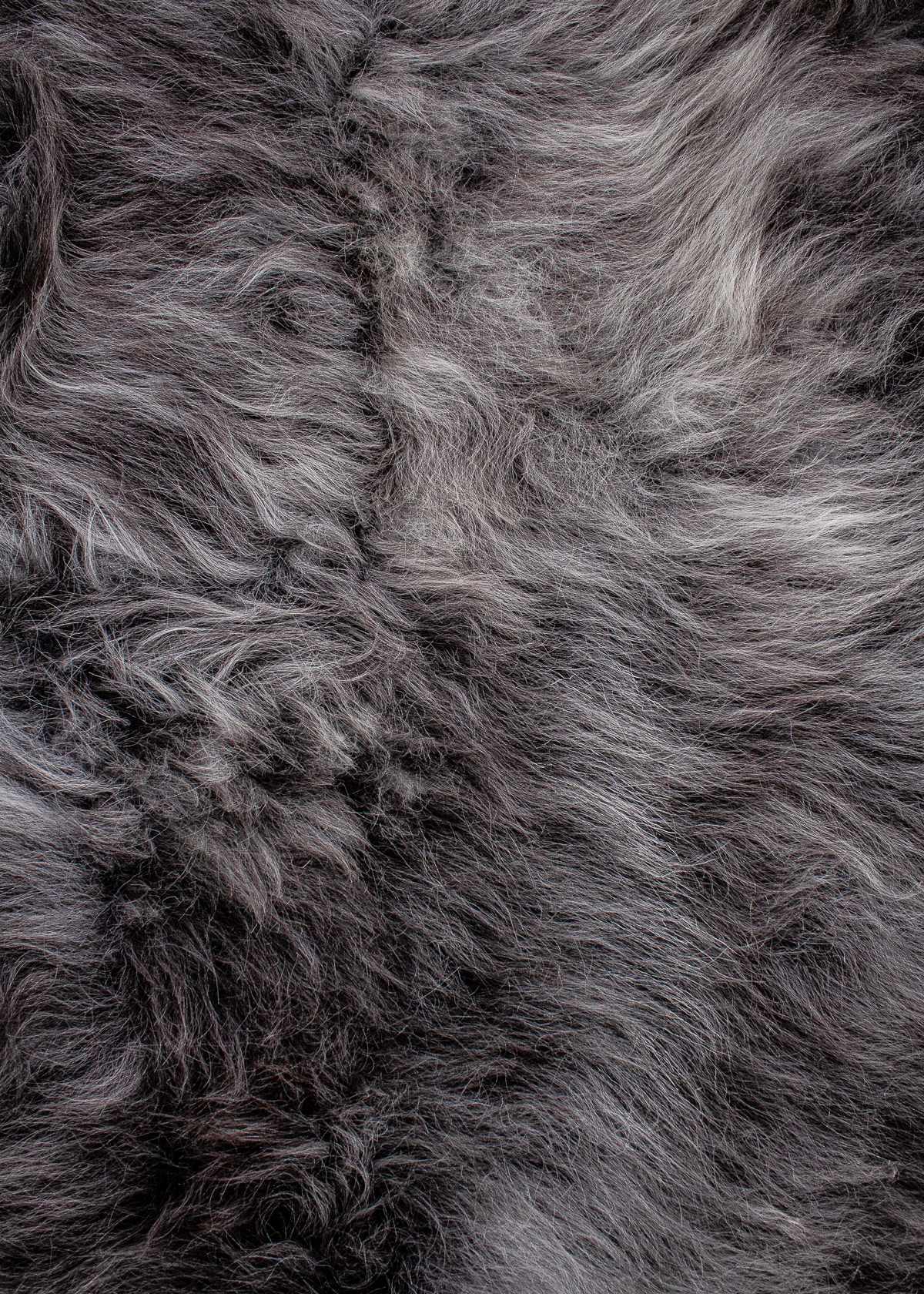 Echte Heidschnucke"Unikat"2025-11-2602 – Bild 4