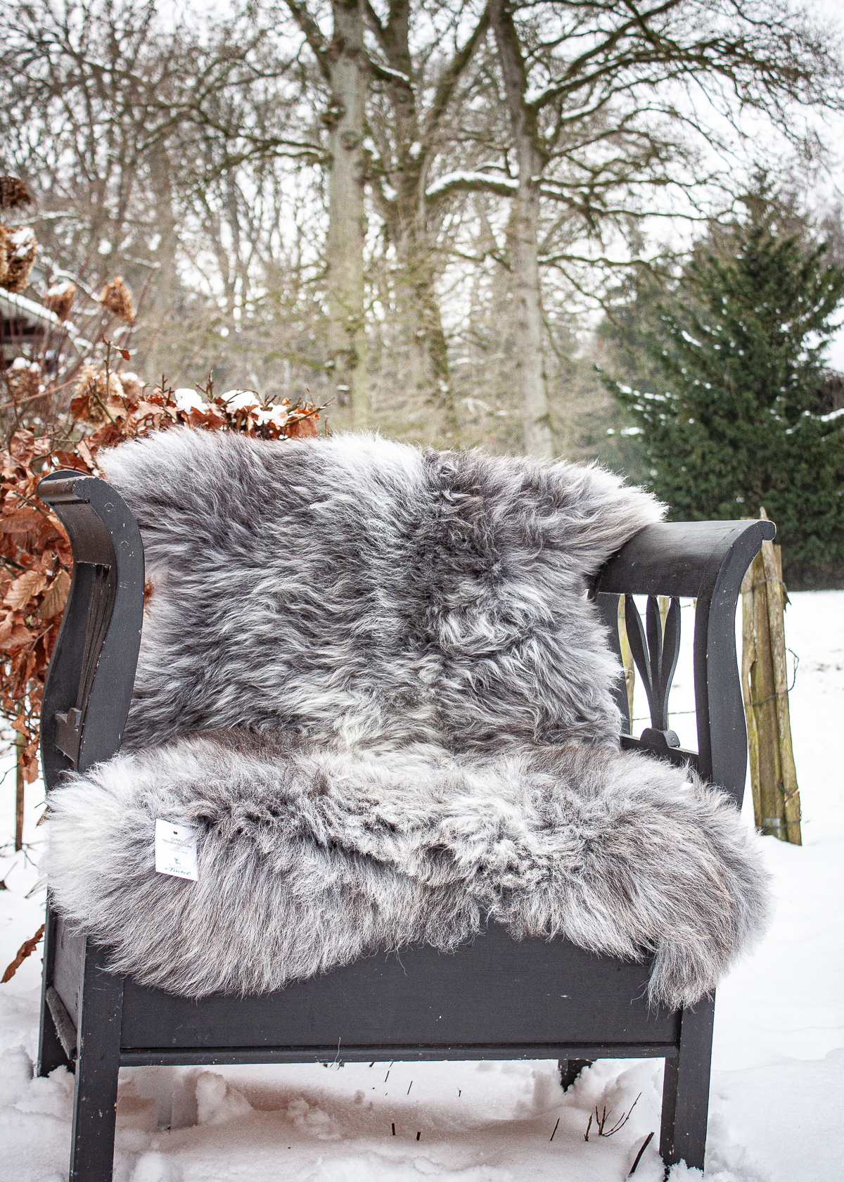 Echte Heidschnucke"Unikat"2025-11-2602 – Bild 3