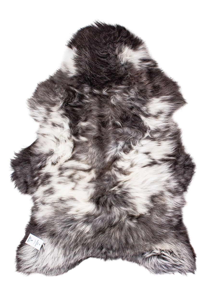 Echte Heidschnucke"Unikat"2025-11-2605