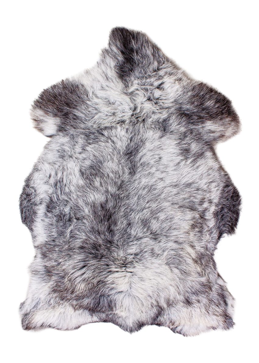 Echte Heidschnucke"Unikat"2025-11-2606