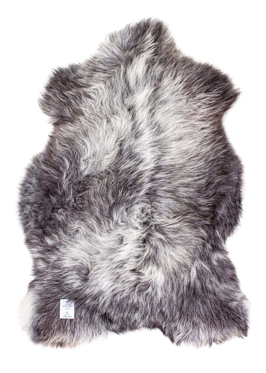 Echte Heidschnucke"Unikat"2025-11-2607