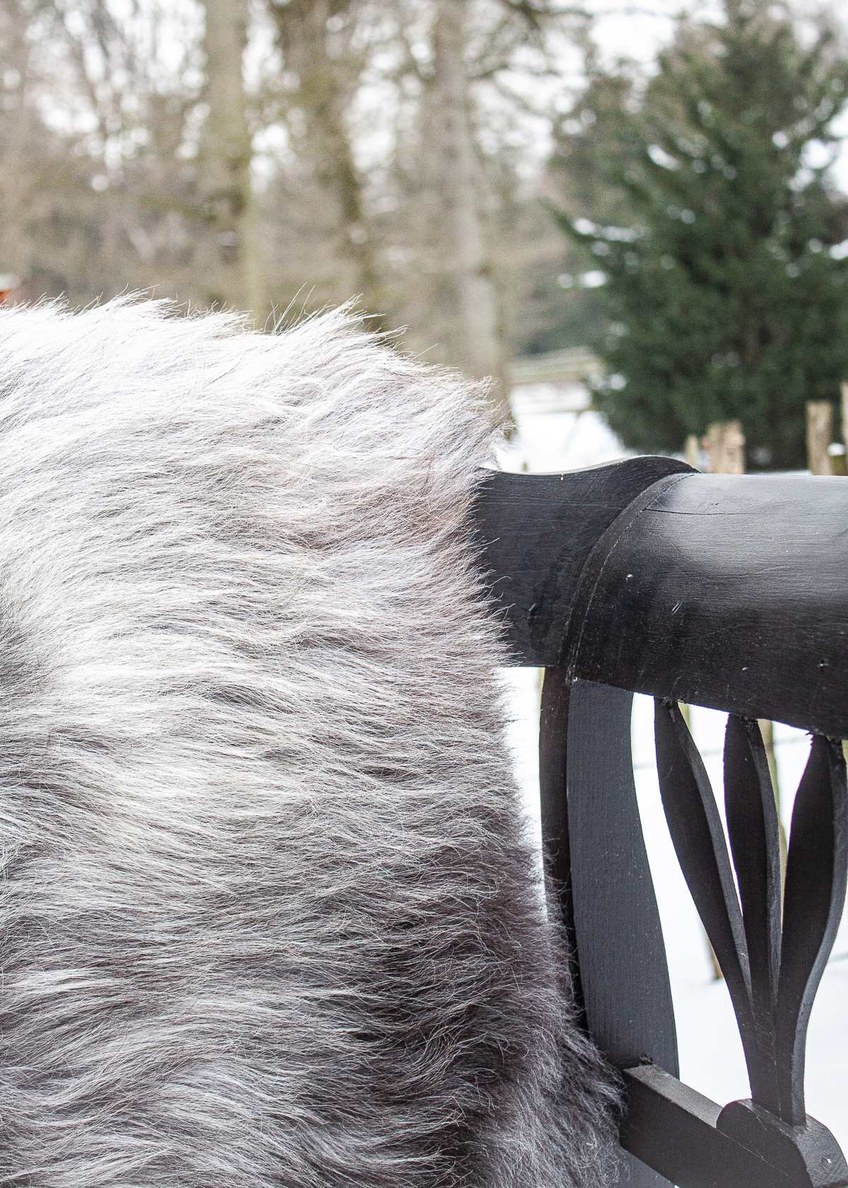 Echte Heidschnucke"Unikat"2025-11-2607 – Bild 5