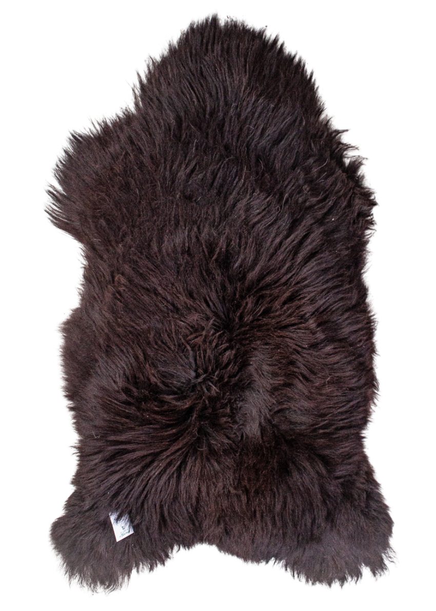 Echte Heidschnucke"Unikat"2025-11-2608