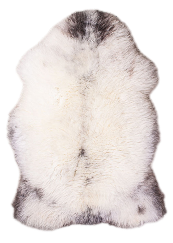 Deutsches Wollschaf "Unikat" 2026-2-006