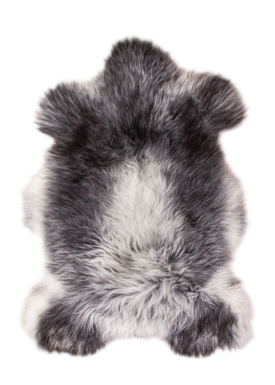 Echte Heidschnucke"Unikat"2026-2-013