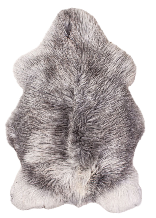 Echte Heidschnucke"Unikat"2026-2-014