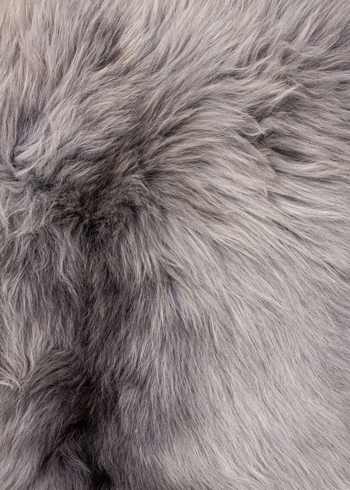 Echte Heidschnucke"Unikat"2026-2-015 – Bild 3