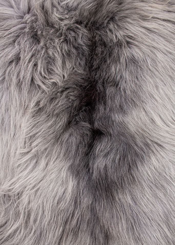 Echte Heidschnucke"Unikat"2026-2-015 – Bild 4