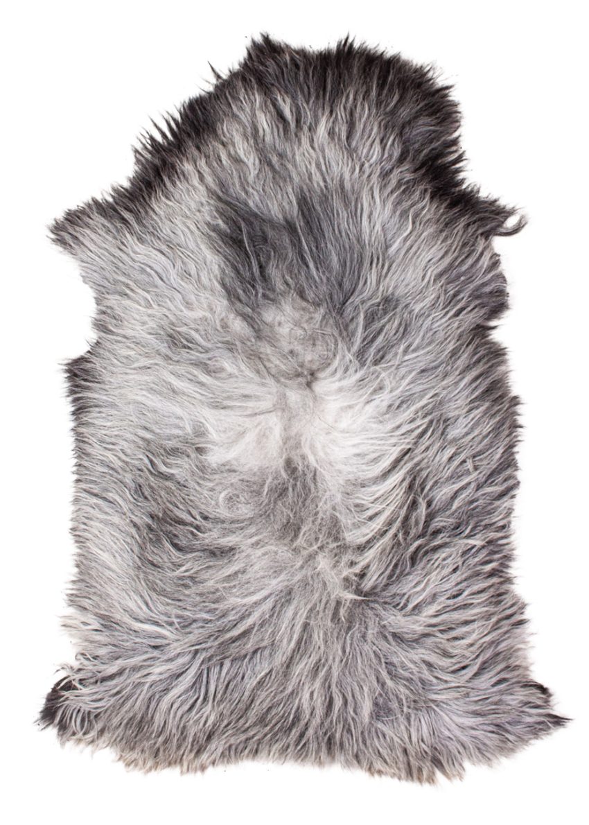 Echte Heidschnucke"Unikat" 2026-3-03