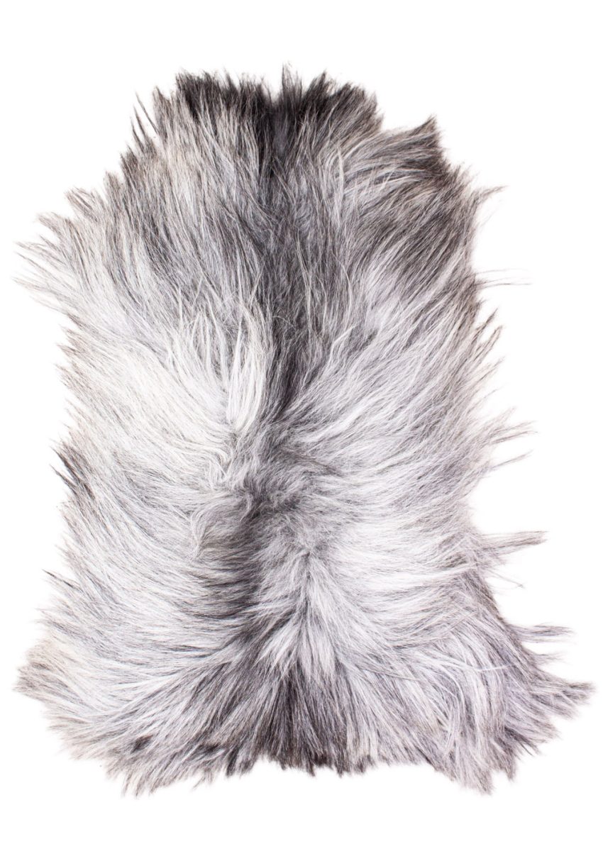 Echte Heidschnucke"Unikat" 2026-3-06