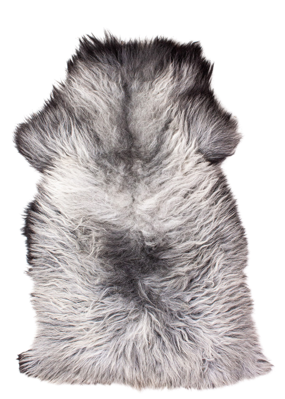 Echte Heidschnucke"Unikat" 2026-3-07