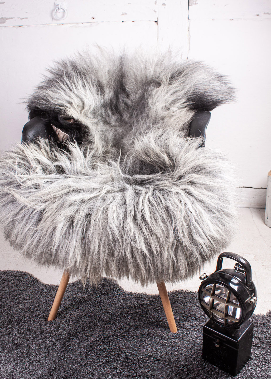 Echte Heidschnucke"Unikat" 2026-3-07 – Bild 2