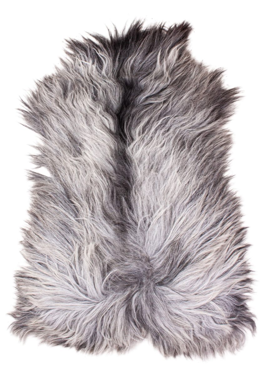 Echte Heidschnucke"Unikat" 2026-3-08