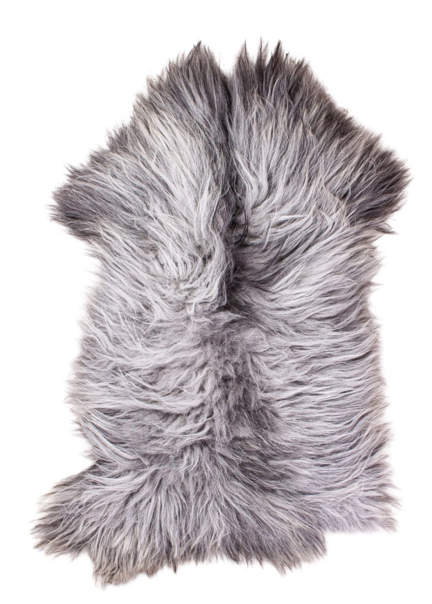 Echte Heidschnucke"Unikat" 2026-3-09