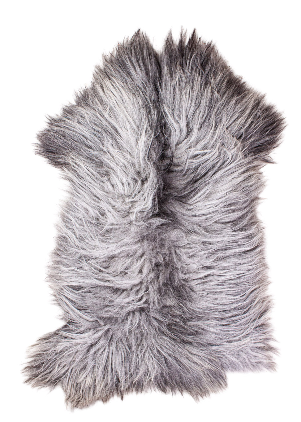 Echte Heidschnucke"Unikat" 2026-3-09