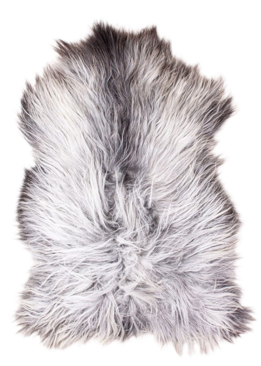 Echte Heidschnucke"Unikat" 2026-3-10