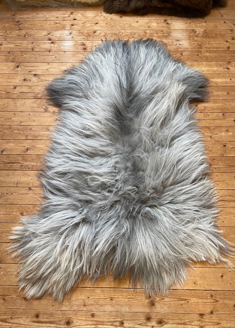 Echte Heidschnucke"Unikat" 2026-3-09 – Bild 5