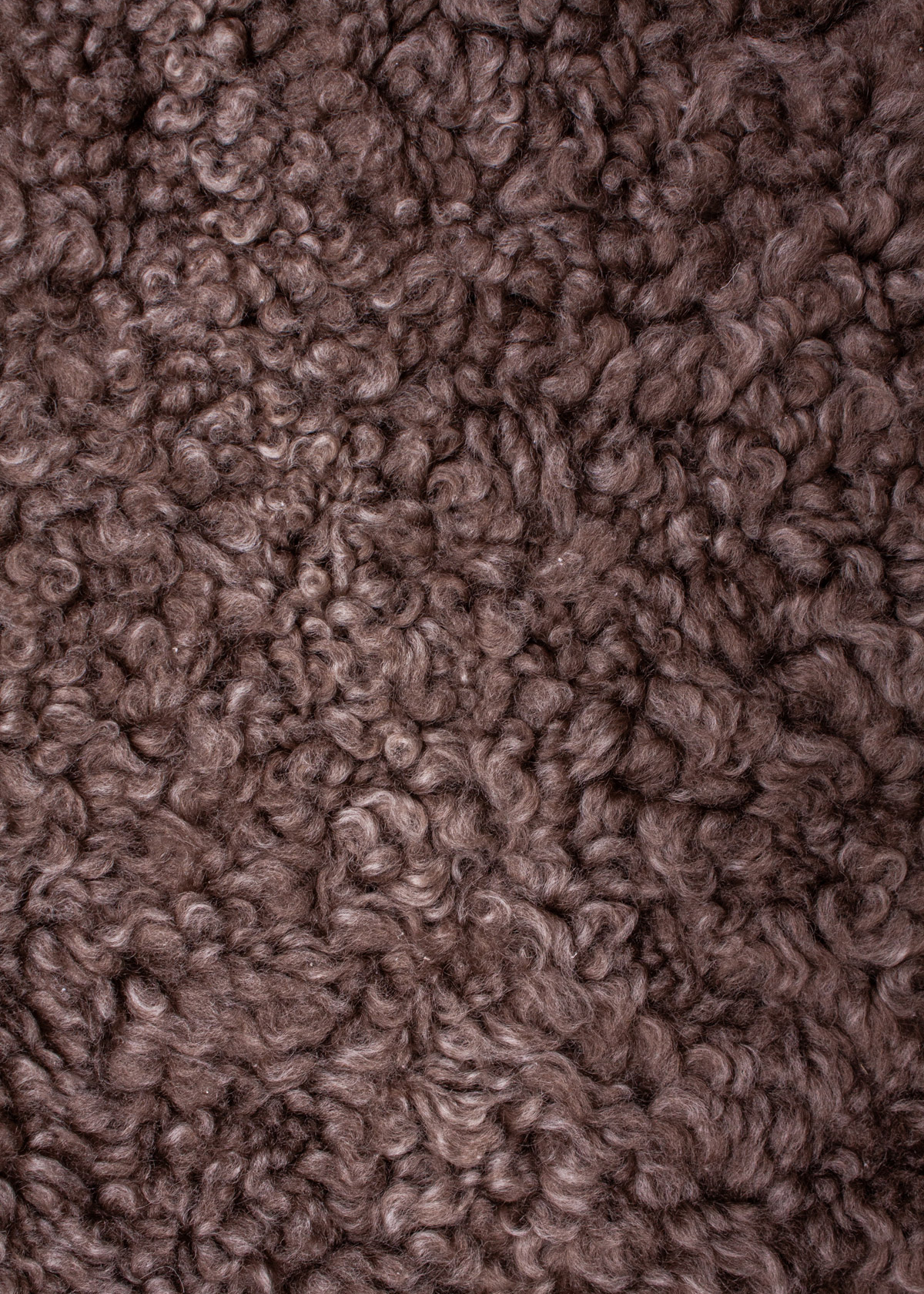 Curly Lammfell "dunkel taupe" 1,5-fach Kopf-Fuß – Bild 3